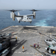 US Navy photo